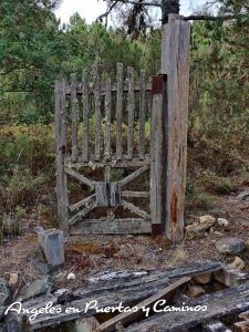 Foto Artículo: Ángeles en puertas y caminos