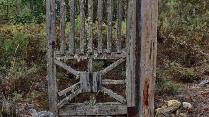 Foto Artículo: Ángeles en puertas y caminos