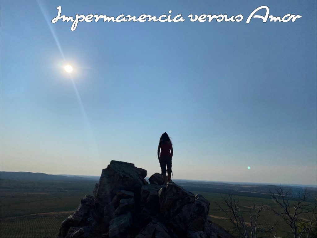 Foto Artículo: IMPERMANENCIA VERSUS AMOR