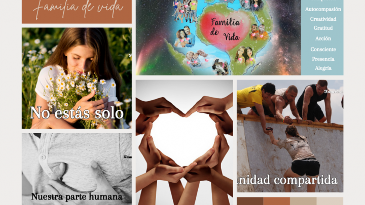 Foto Artículo: Vuelve a tu hogar. GRATITUD-COMPROMISO-CONFIANZA.