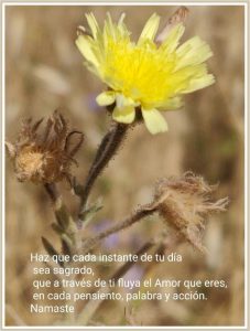 foto belleza instante sagrado