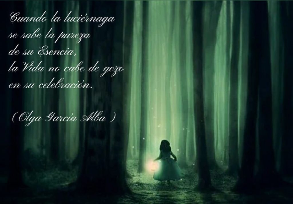 foto belleza luciernaga