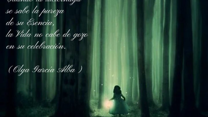 foto belleza luciernaga
