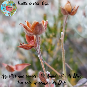 Abundancia