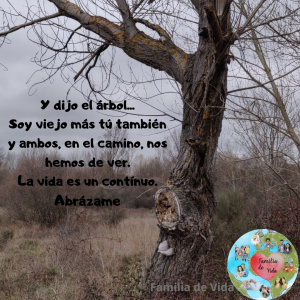 Arbol