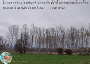 Cambio global