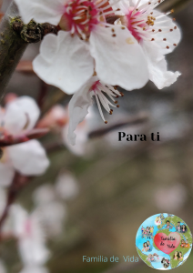 Para ti
