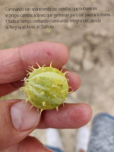 img1634401068742